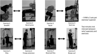 A Comparison of Affective Responses Between Time Efficient and Traditional Resistance Training